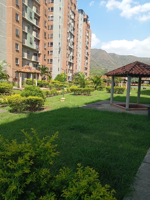 thumb_1341_10.jpg