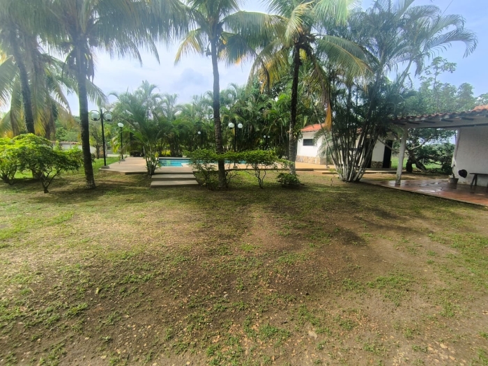 thumb_1357_11.jpg