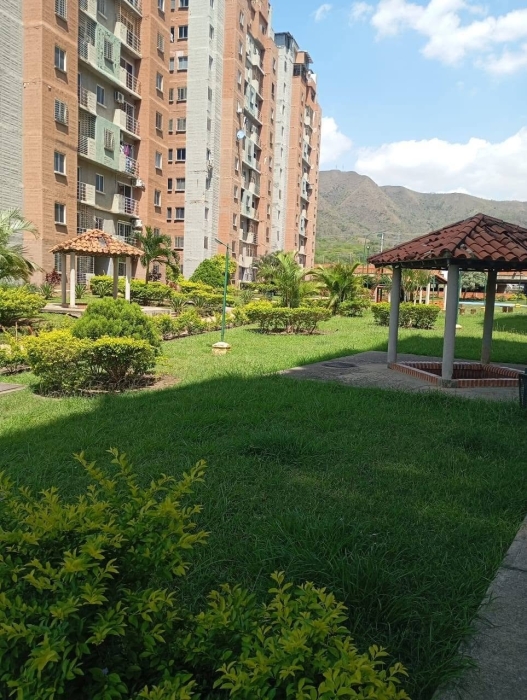 thumb_1374_11.jpg